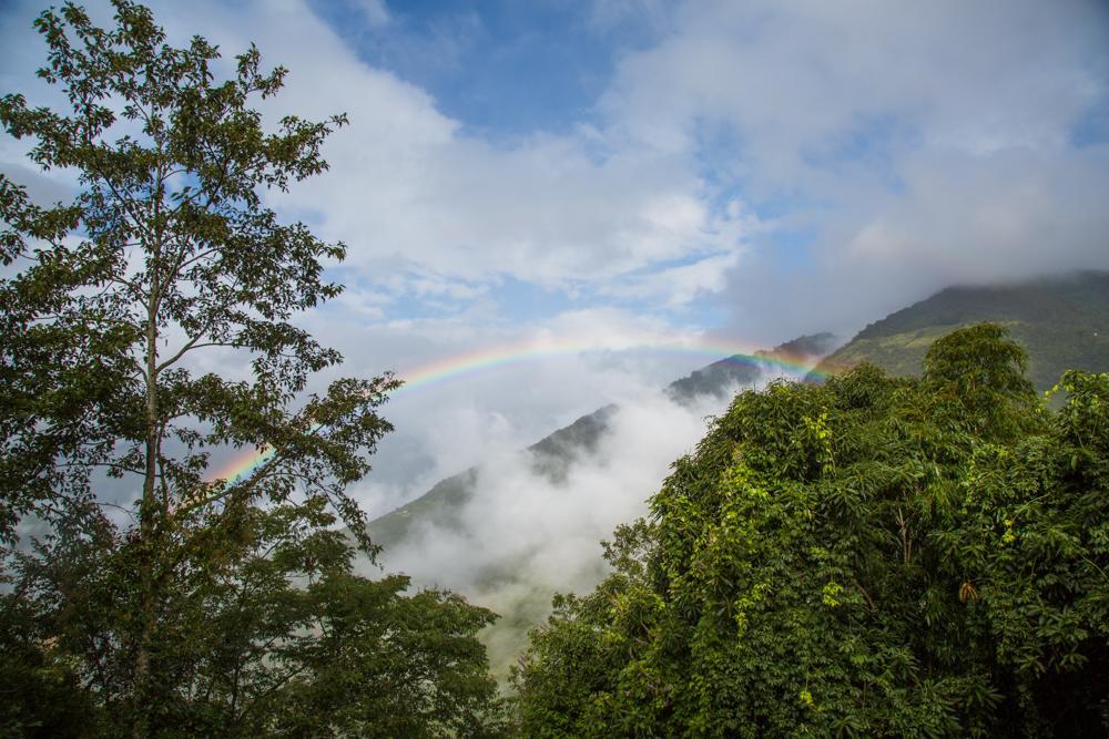 The Fairy Land - Lala Mountain Daire Fuxing  Dış mekan fotoğraf