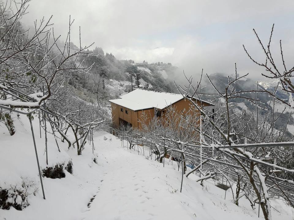 The Fairy Land - Lala Mountain Daire Fuxing  Dış mekan fotoğraf