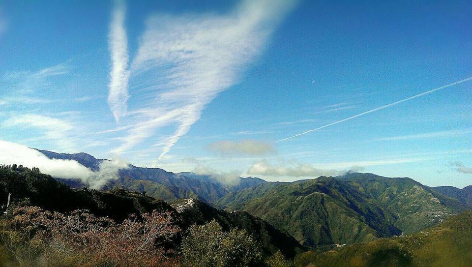 The Fairy Land - Lala Mountain Daire Fuxing  Dış mekan fotoğraf