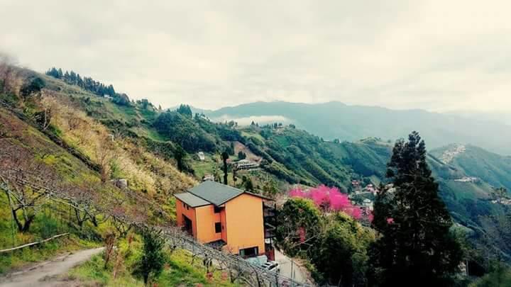 The Fairy Land - Lala Mountain Daire Fuxing  Dış mekan fotoğraf